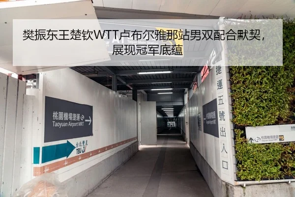 樊振东王楚钦WTT卢布尔雅那站男双配合默契，展现冠军底蕴