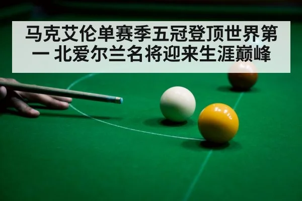 professional snooker player